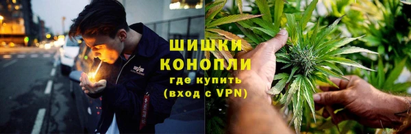 spice Вязьма