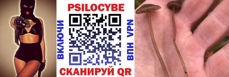 как найти закладки  Симферополь  blacksprut маркетплейс  Галлюциногенные грибы Psilocybine cubensis 
